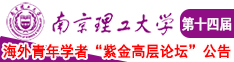 少妇逼被日视频南京理工大学第十四届海外青年学者紫金论坛诚邀海内外英才！